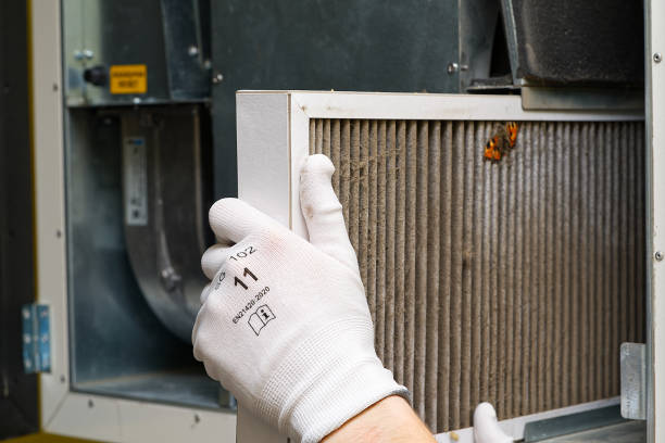 Best Affordable HVAC Duct Cleaning  in Venus, TX