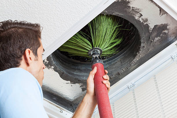 Best Affordable Air Duct Cleaning  in Venus, TX